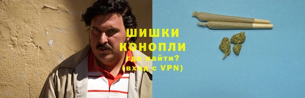 apvp Лиски