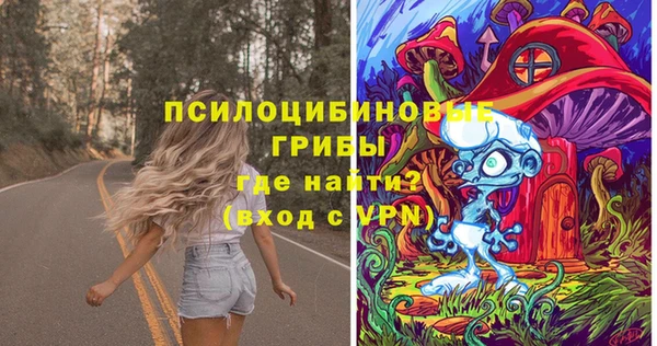 ECSTASY Магас