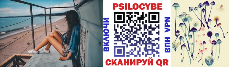 сайты даркнета состав  Шиханы  Псилоцибиновые грибы мицелий 